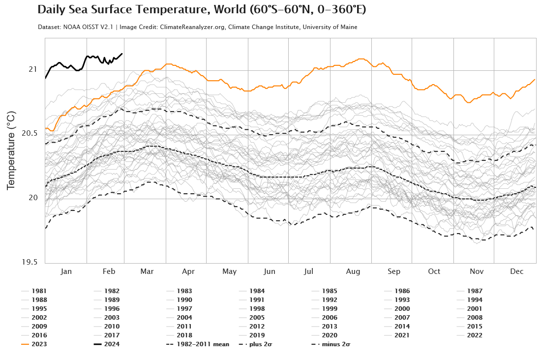 Daily Sea Surface Temperature, World level. Line chart showing 2024 sea temperatures unusually warm